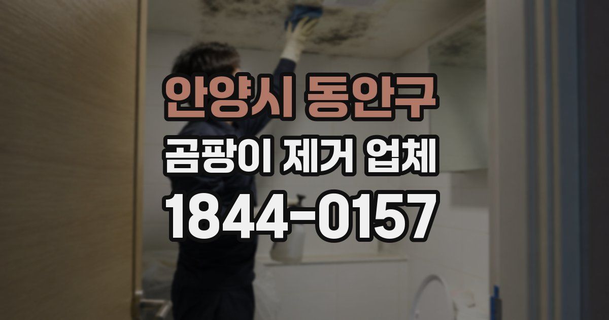 안양시 동안구 곰팡이 제거 업체
