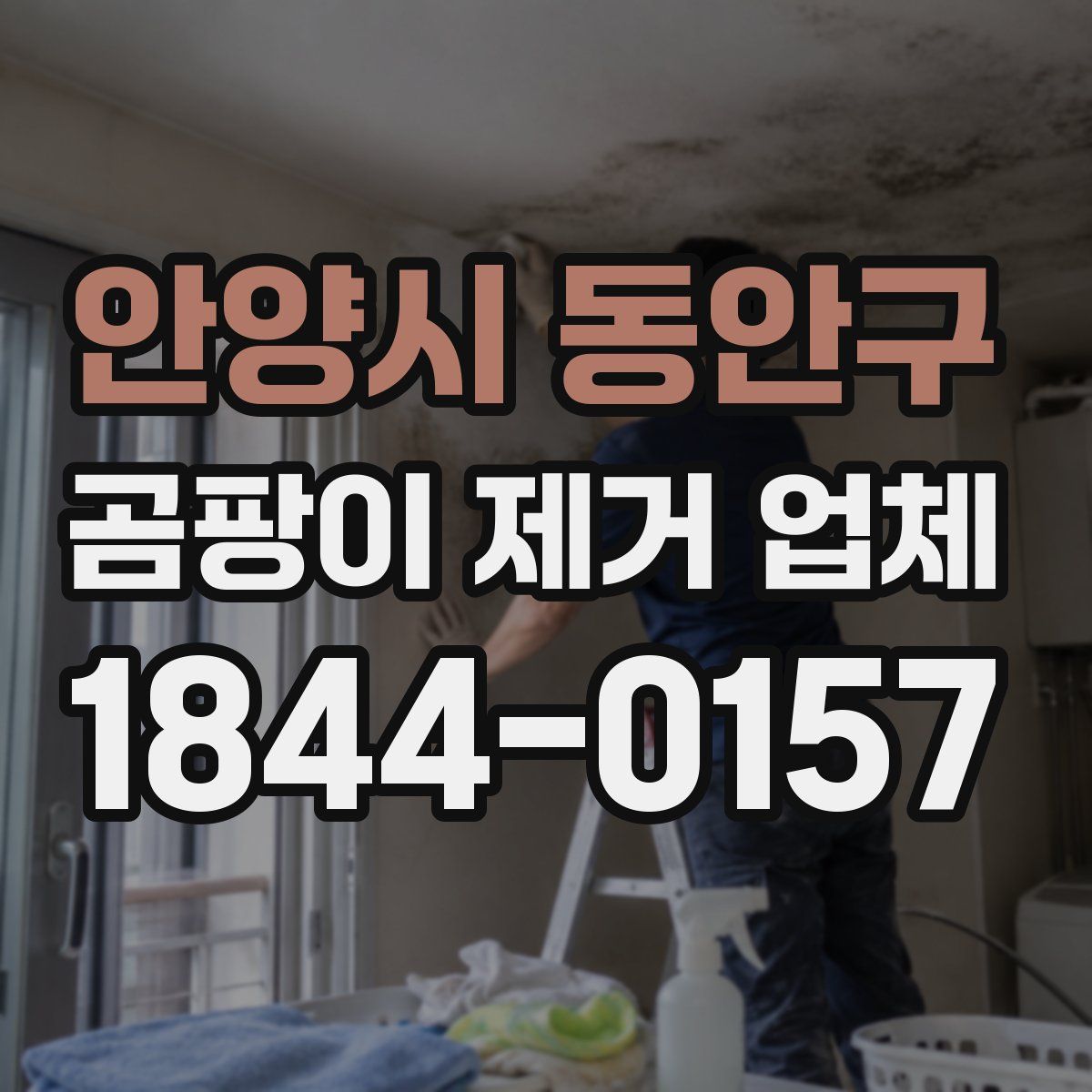 안양시 동안구 곰팡이 제거 업체