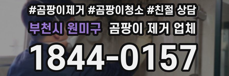 부천시 원미구 곰팡이 제거 업체