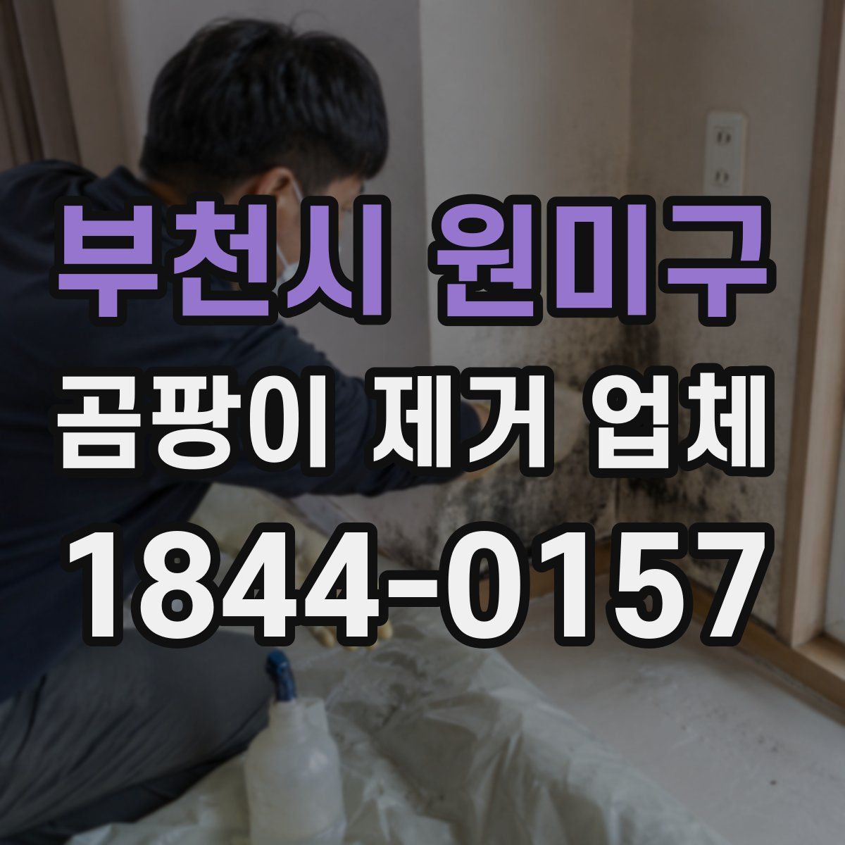 부천시 원미구 곰팡이 제거 업체