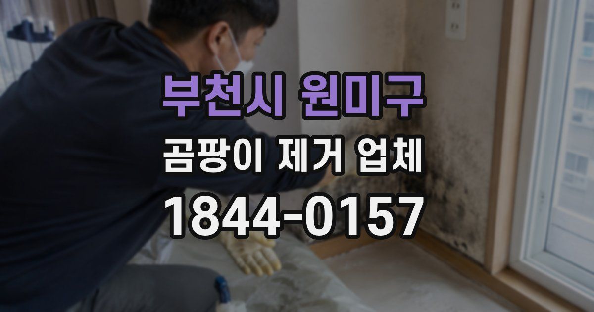 부천시 원미구 곰팡이 제거 업체