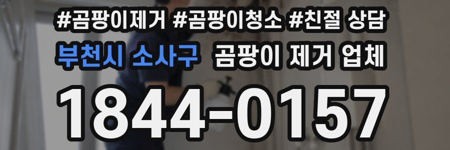 부천시 소사구 곰팡이 제거 업체