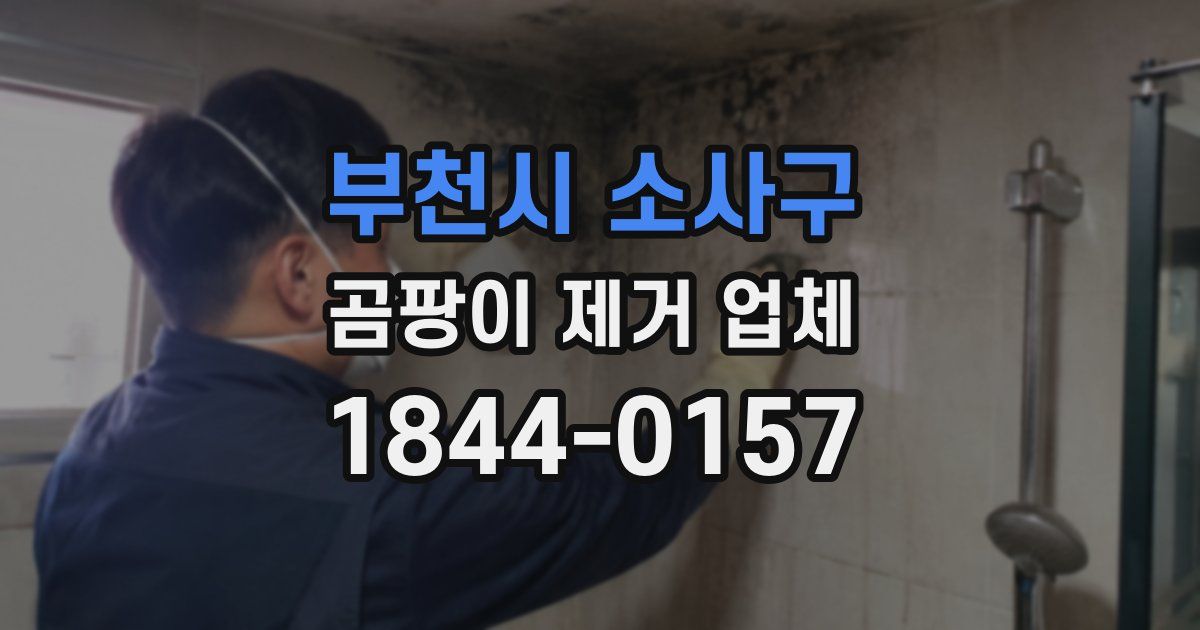 부천시 소사구 곰팡이 제거 업체