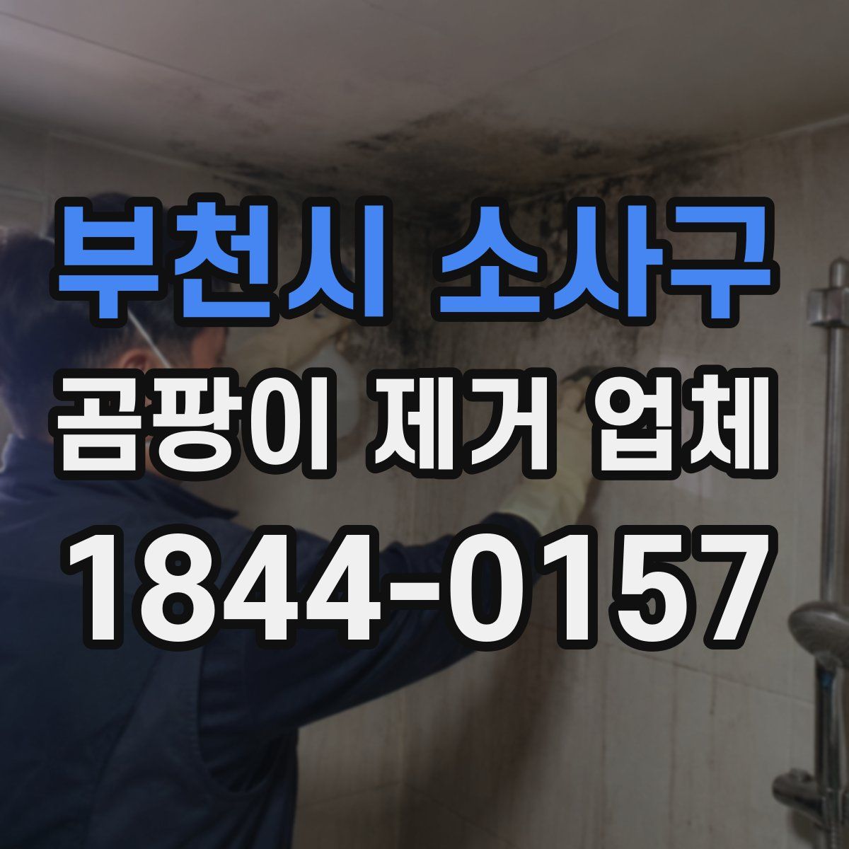 부천시 소사구 곰팡이 제거 업체