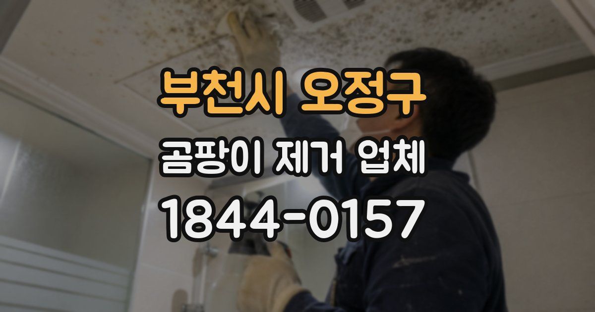 부천시 오정구 곰팡이 제거 업체