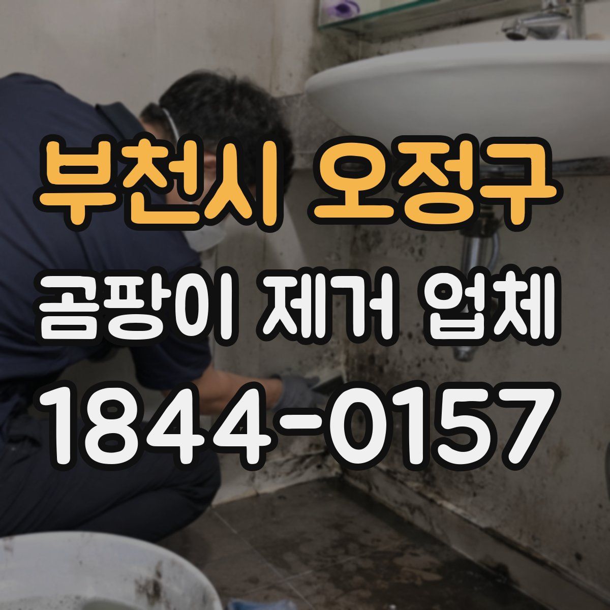 부천시 오정구 곰팡이 제거 업체