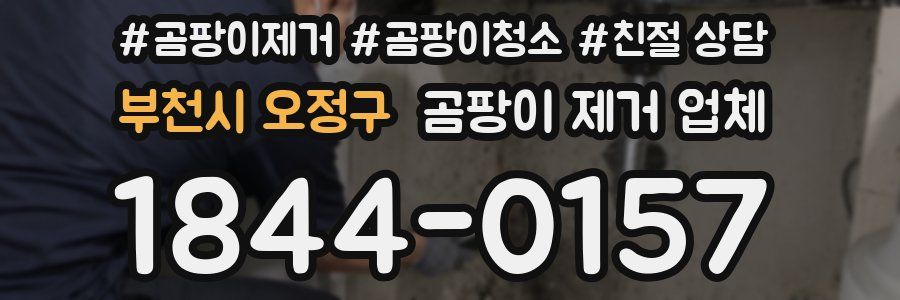부천시 오정구 곰팡이 제거 업체