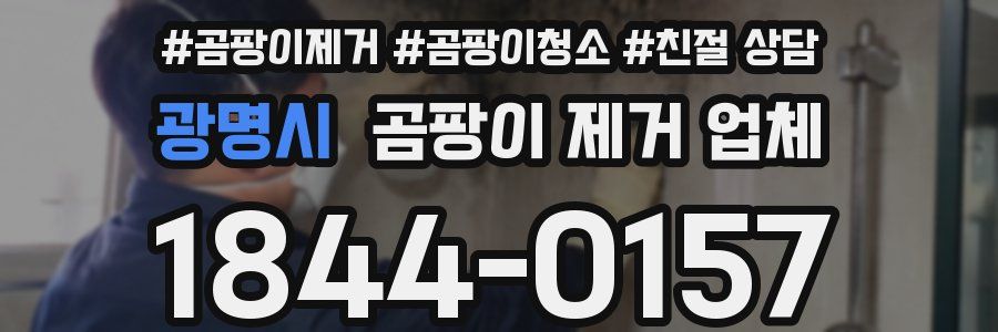 광명시 곰팡이 제거 업체