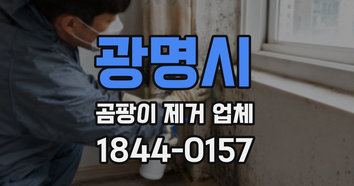 광명시 곰팡이 제거 업체
