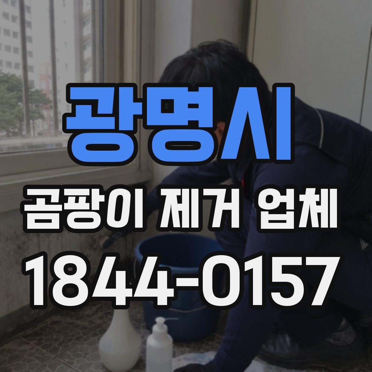 광명시 곰팡이 제거 업체