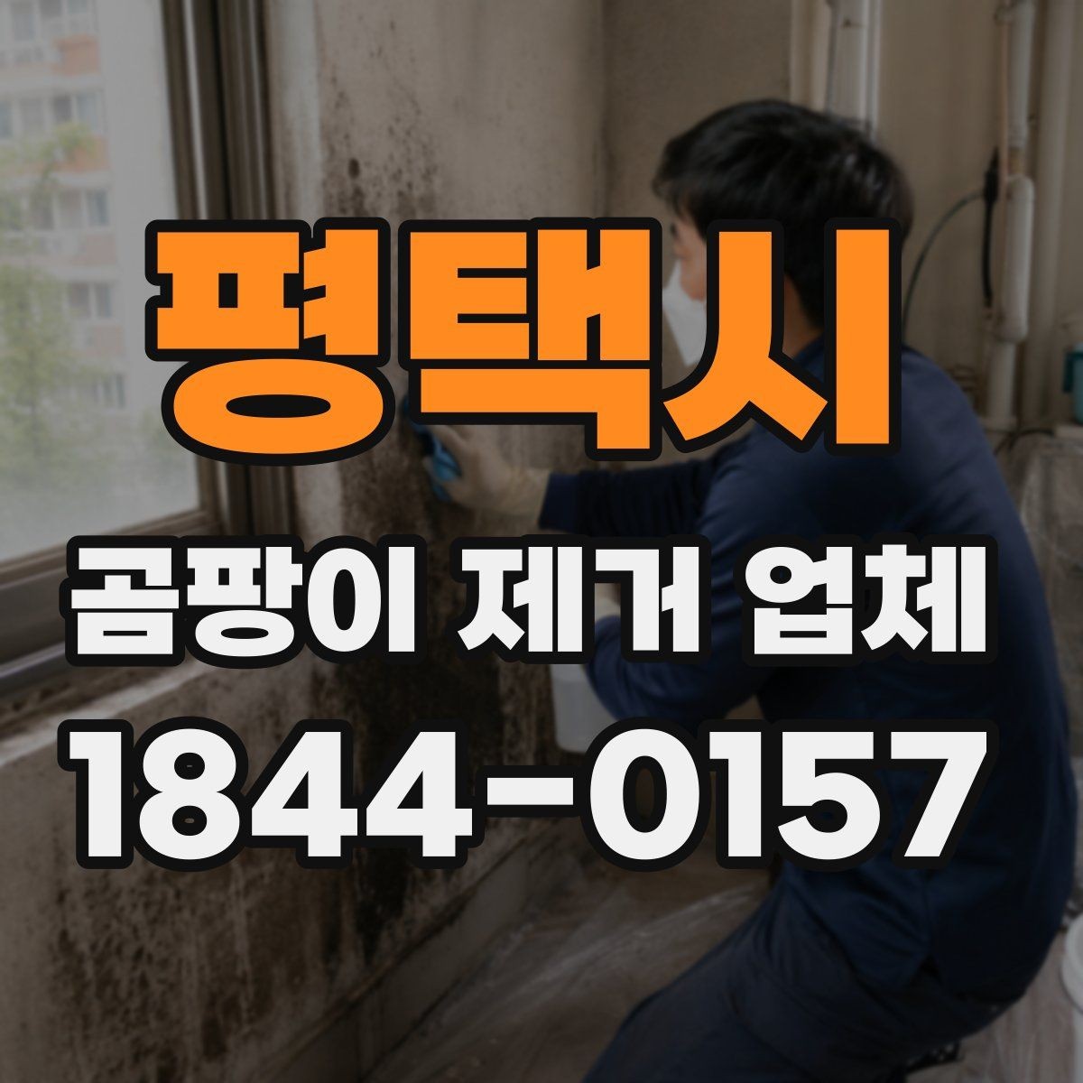 평택시 곰팡이 제거 업체 작업 전 확인해야 할 안전 사항