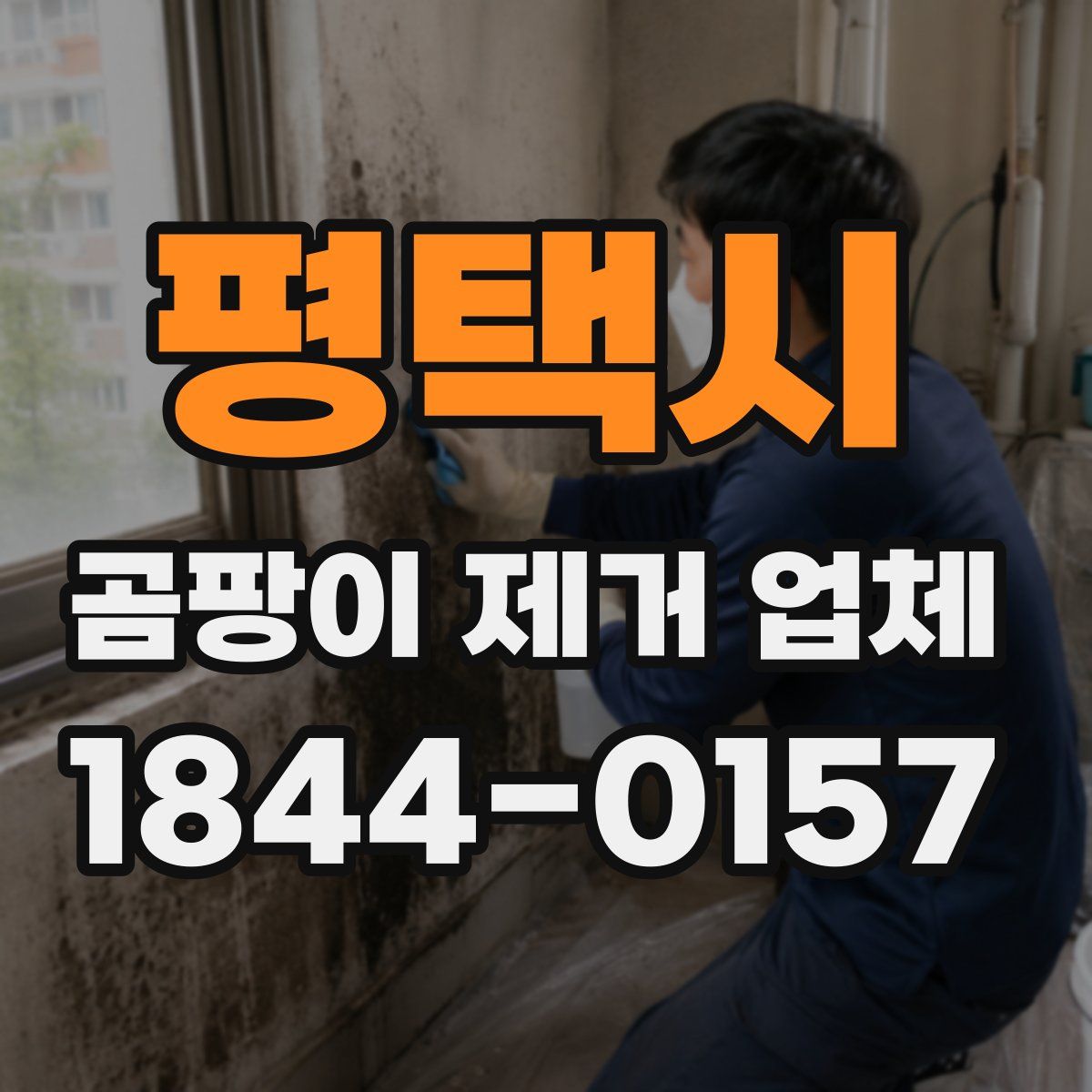 평택시 곰팡이 제거 업체
