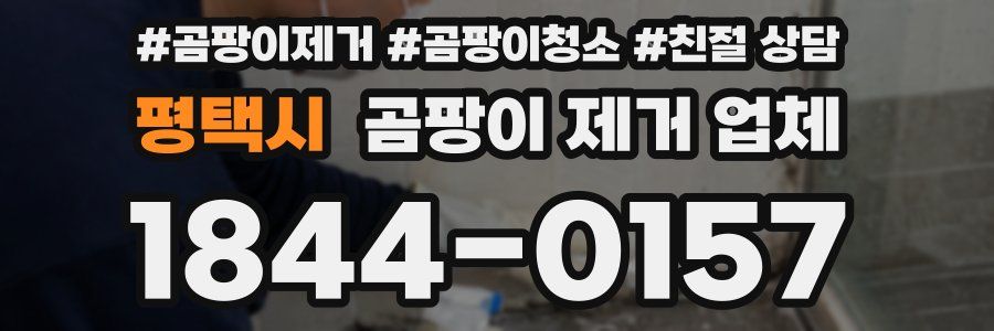 평택시 곰팡이 제거 업체