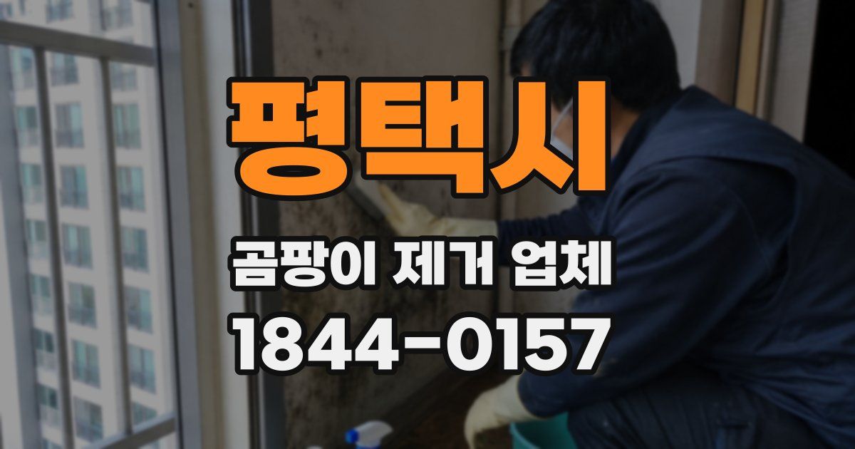 평택시 곰팡이 제거 업체