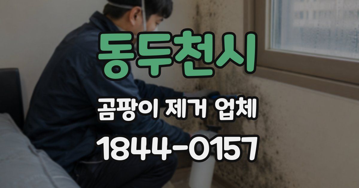 동두천시 곰팡이 제거 업체
