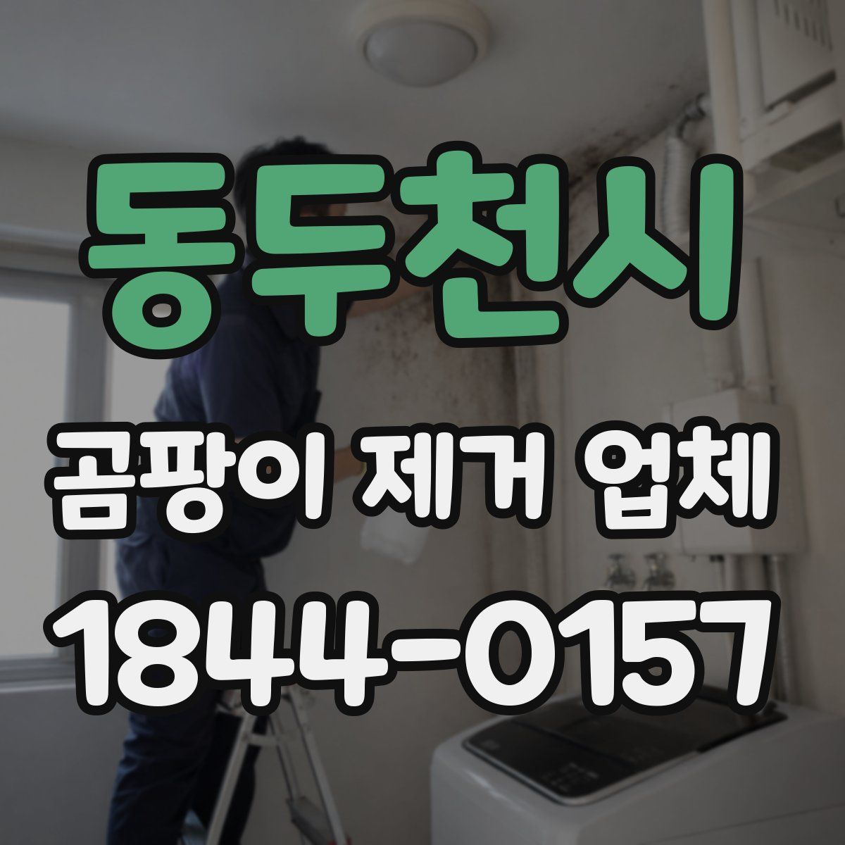 동두천시 곰팡이 제거 업체