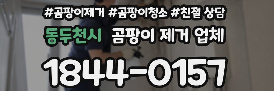 동두천시 곰팡이 제거 업체
