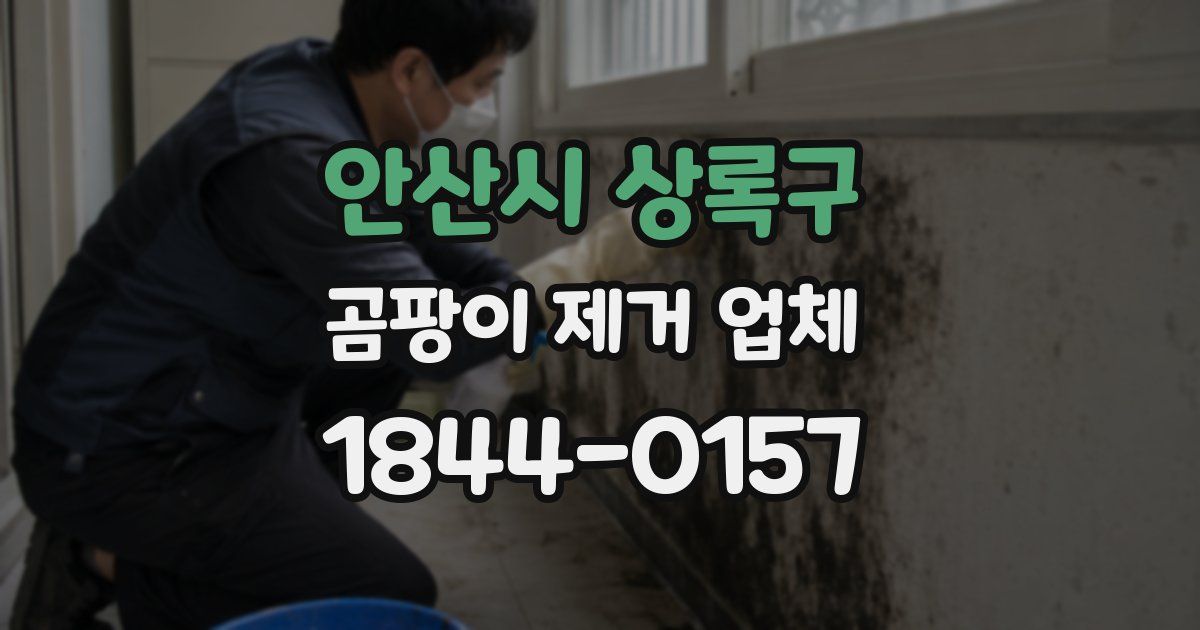 안산시 상록구 곰팡이 제거 업체