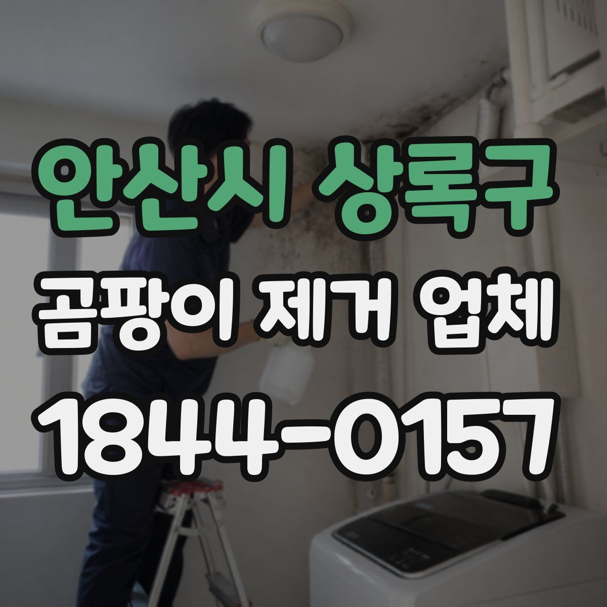 안산시 상록구 곰팡이 제거 업체