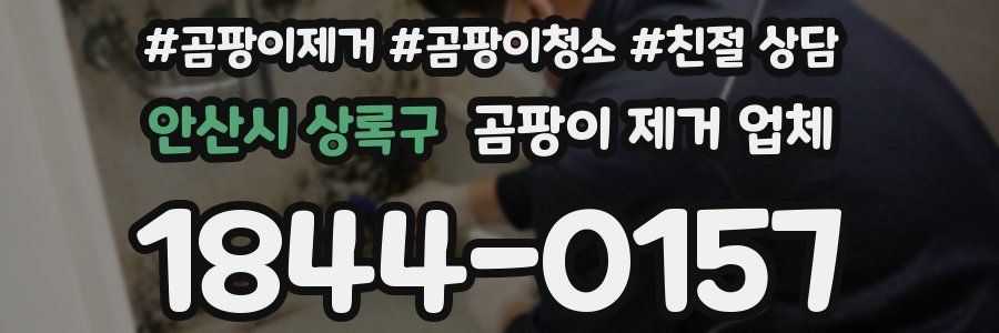 안산시 상록구 곰팡이 제거 업체