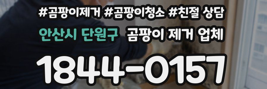 안산시 단원구 곰팡이 제거 업체