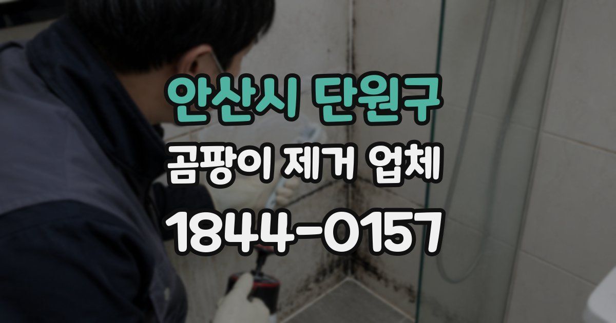 안산시 단원구 곰팡이 제거 업체