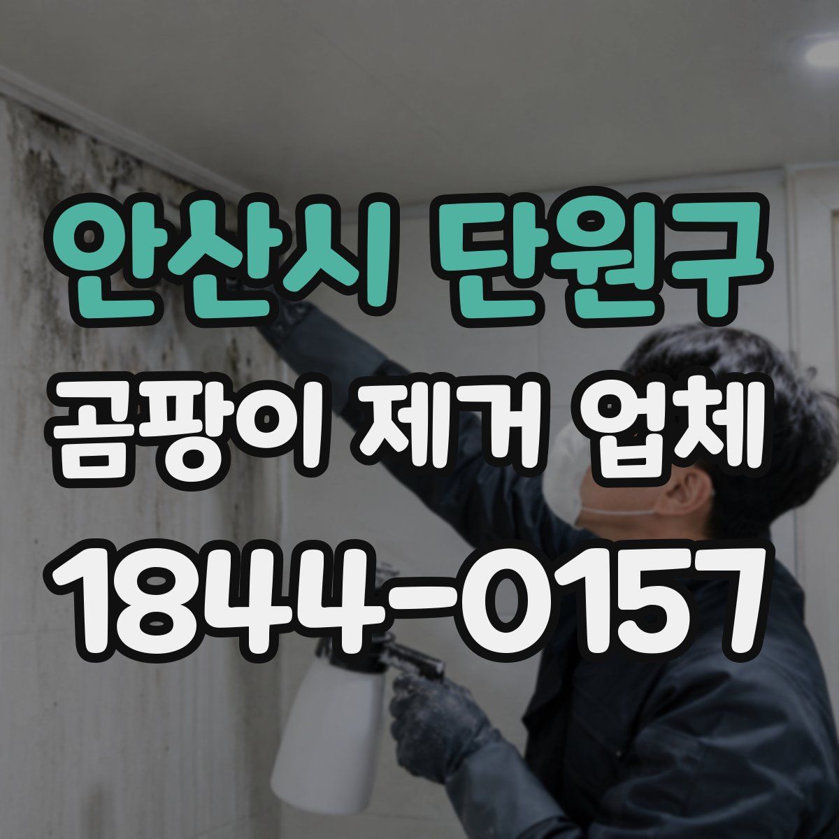 안산시 단원구 곰팡이 제거 업체