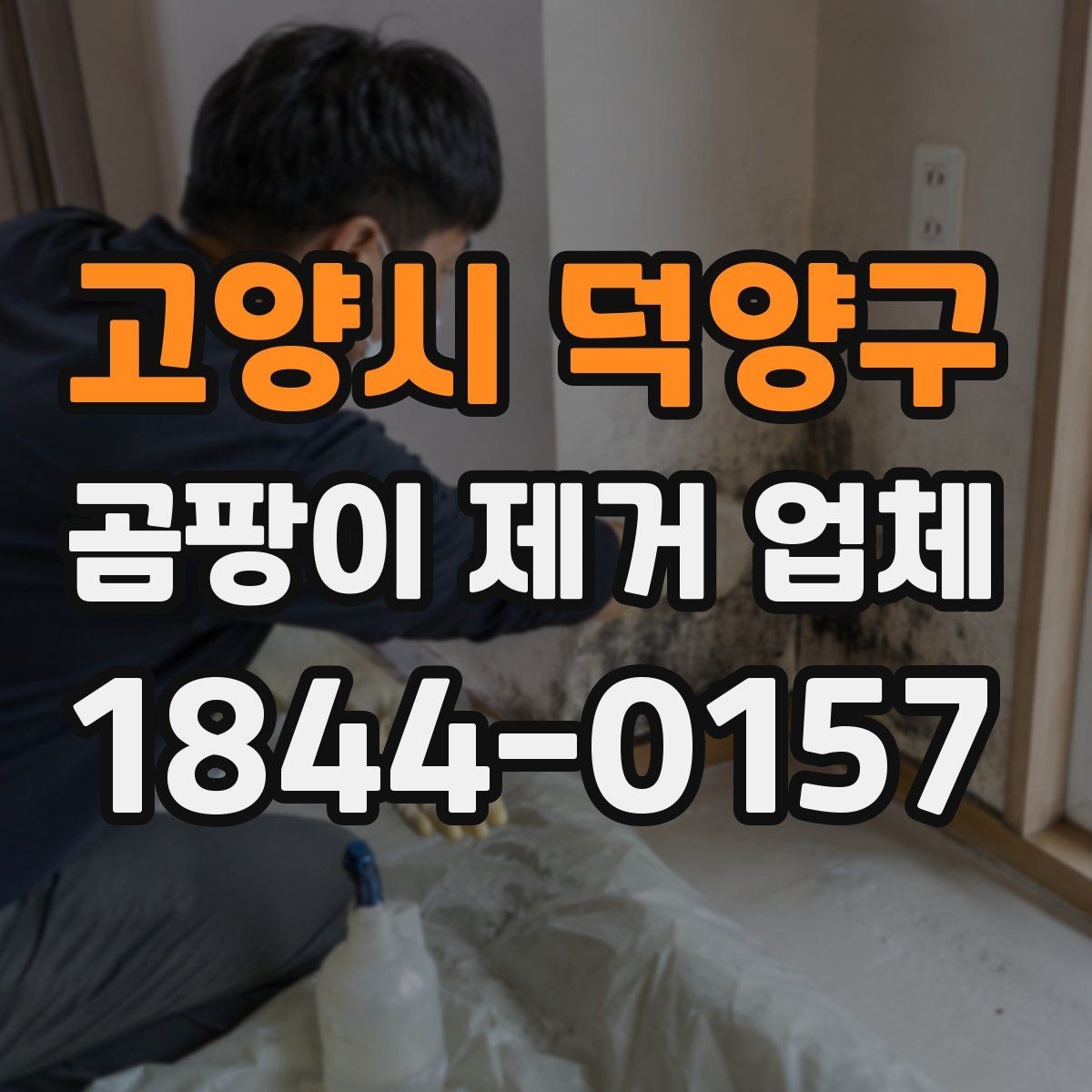고양시 덕양구 곰팡이 제거 업체 이용 전 꼭 살펴볼 후기 포인트