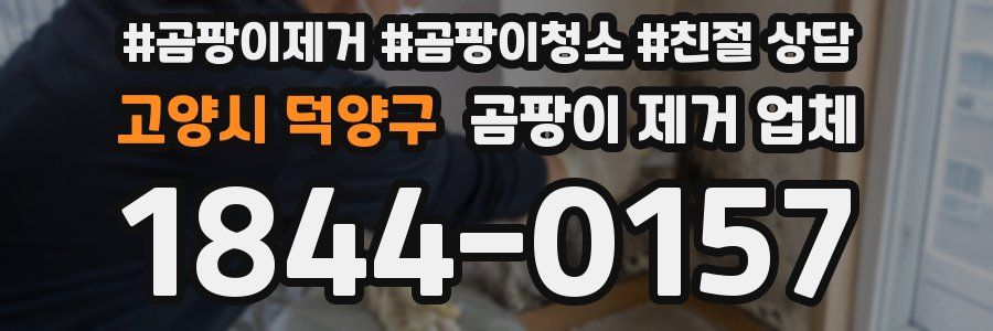 고양시 덕양구 곰팡이 제거 업체