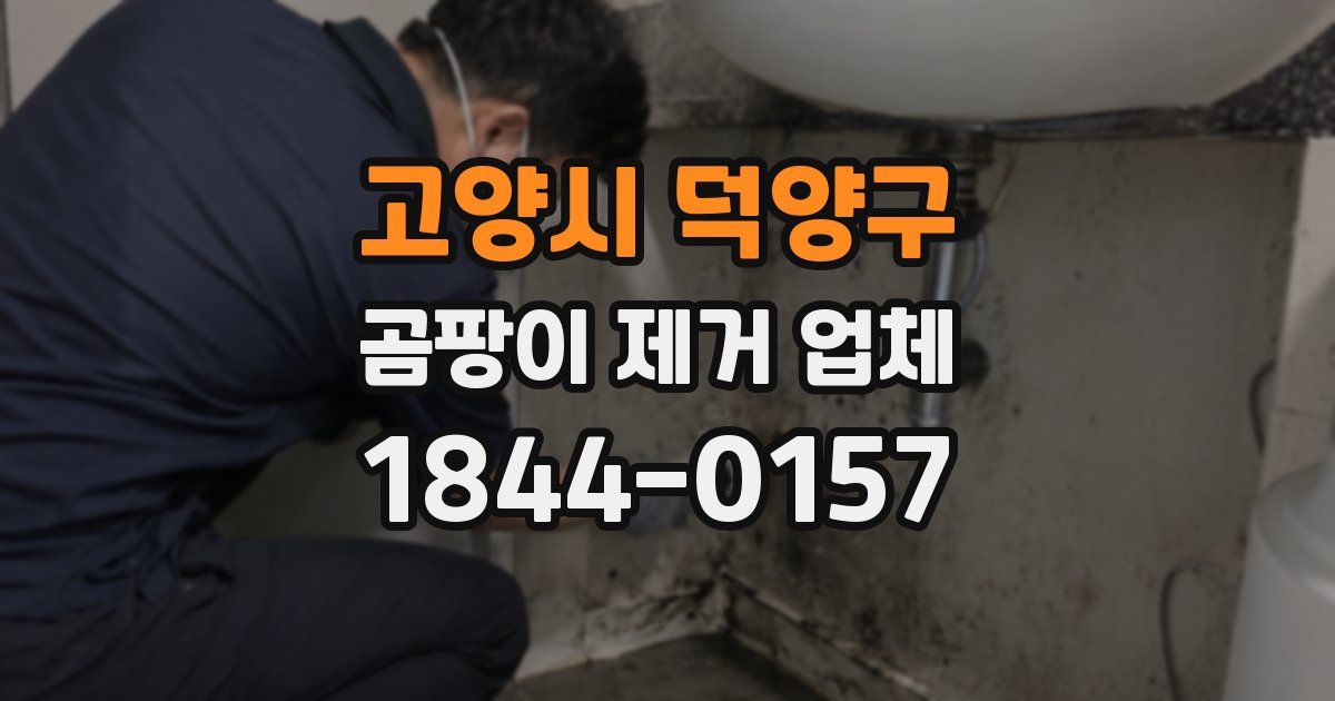 고양시 덕양구 곰팡이 제거 업체