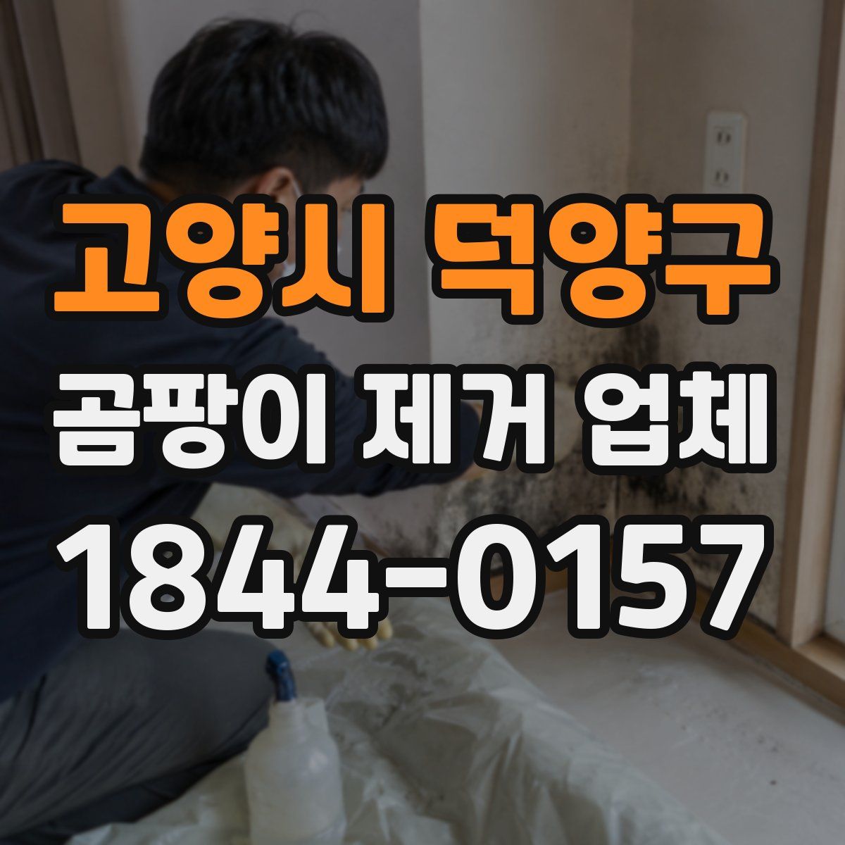 고양시 덕양구 곰팡이 제거 업체