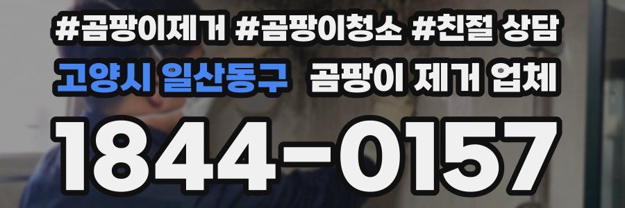 고양시 일산동구 곰팡이 제거 업체