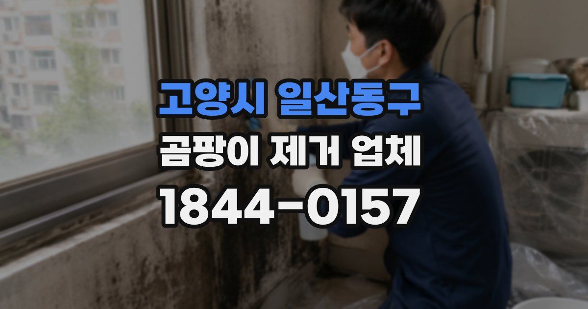 고양시 일산동구 곰팡이 제거 업체
