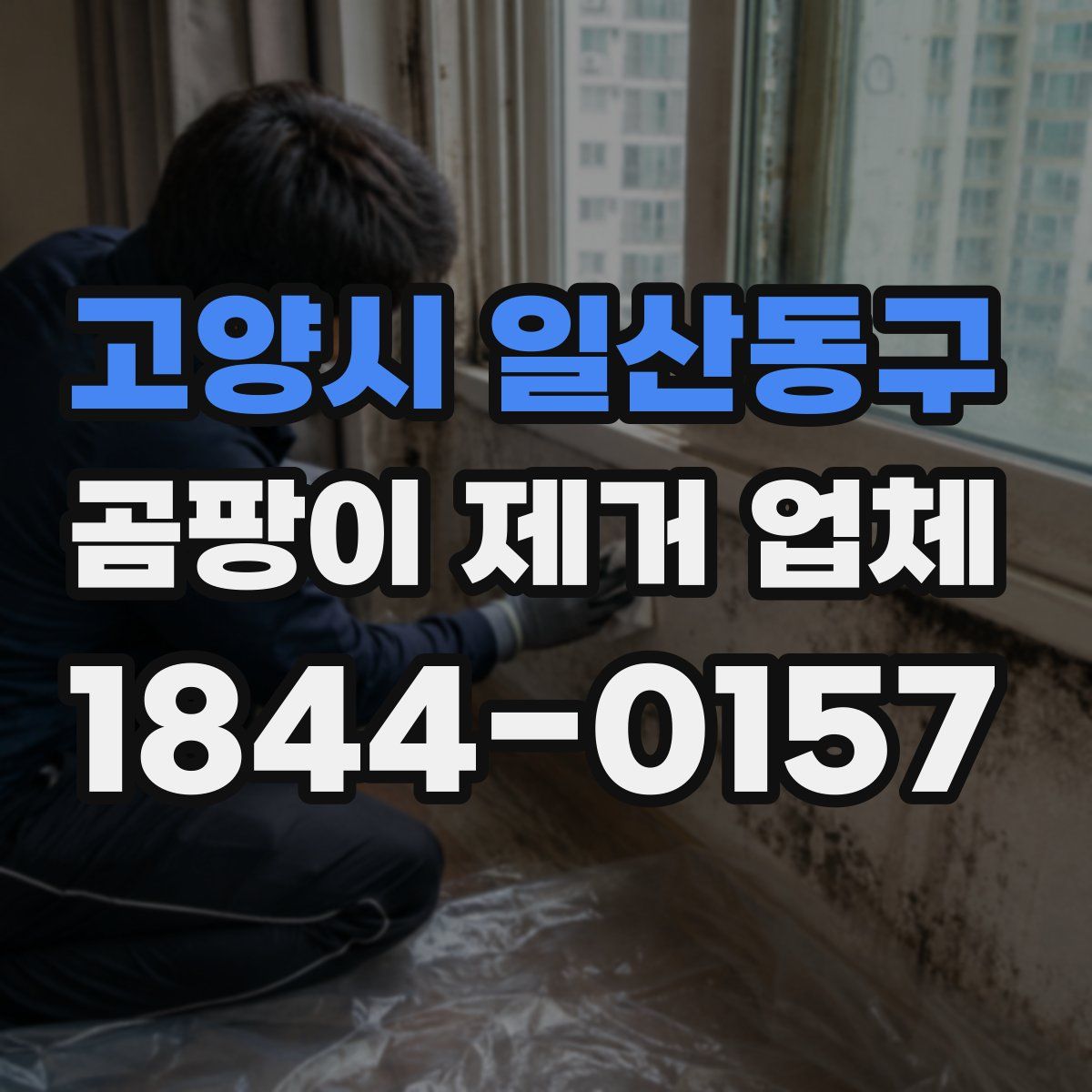 고양시 일산동구 곰팡이 제거 업체