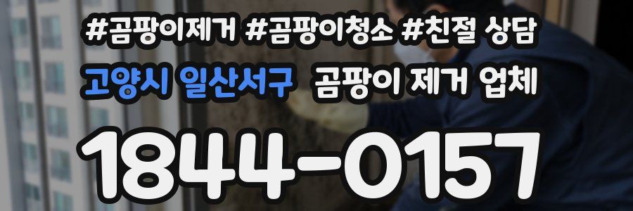 고양시 일산서구 곰팡이 제거 업체
