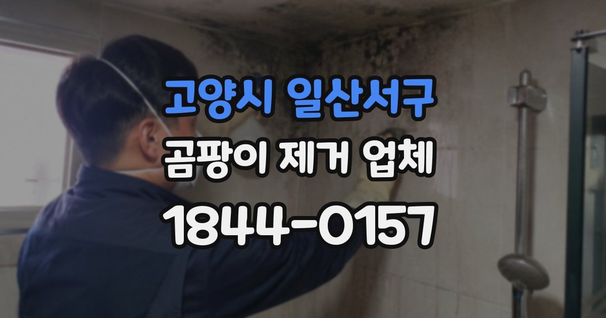 고양시 일산서구 곰팡이 제거 업체