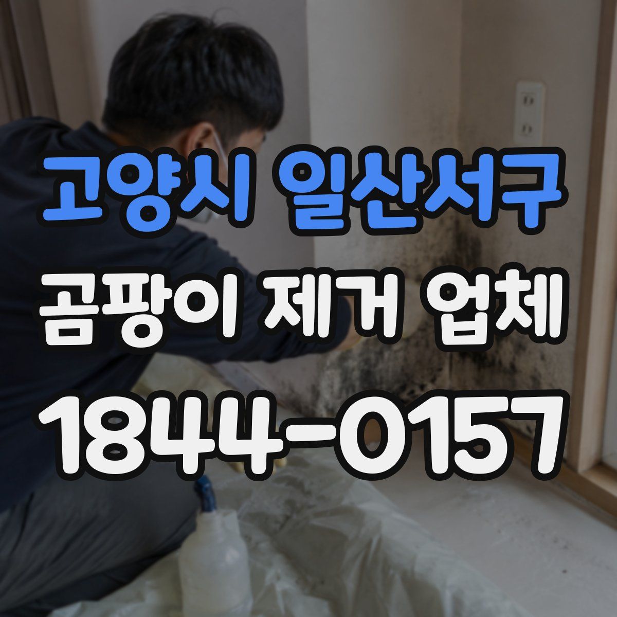 고양시 일산서구 곰팡이 제거 업체