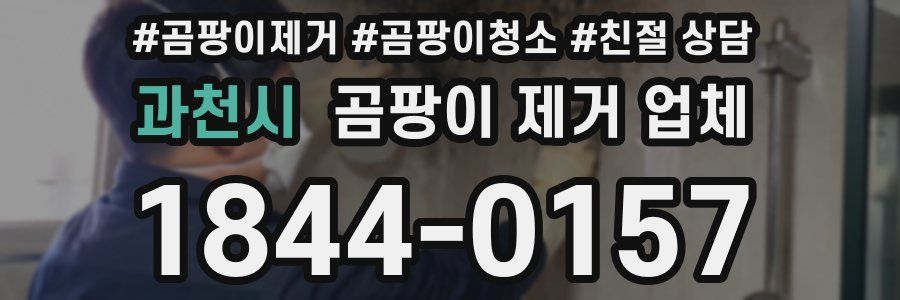 과천시 곰팡이 제거 업체