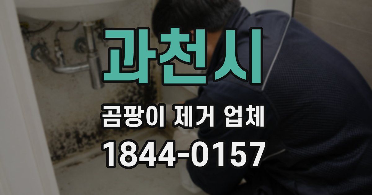 과천시 곰팡이 제거 업체