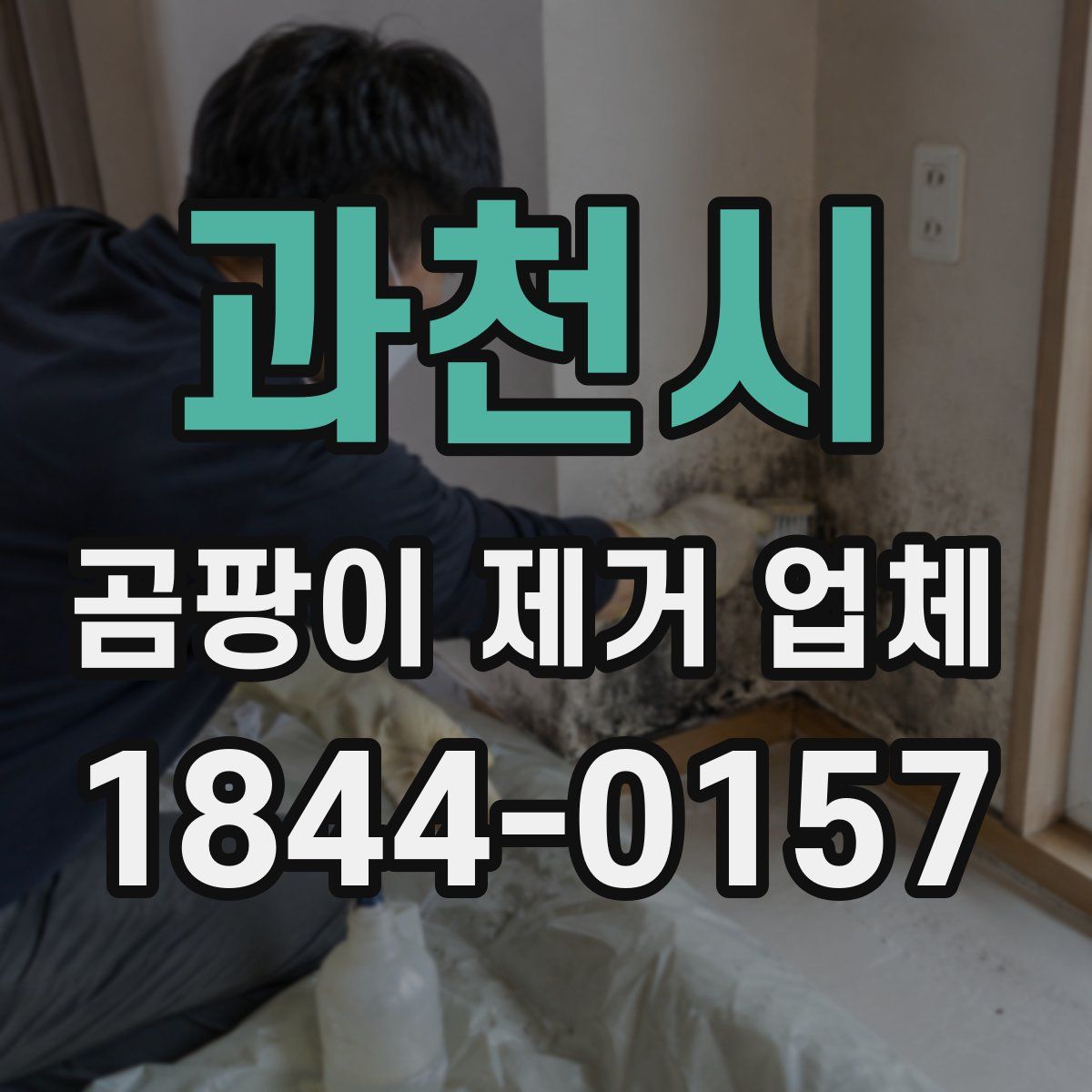 과천시 곰팡이 제거 업체
