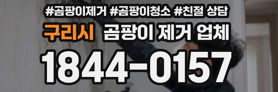 구리시 곰팡이 제거 업체