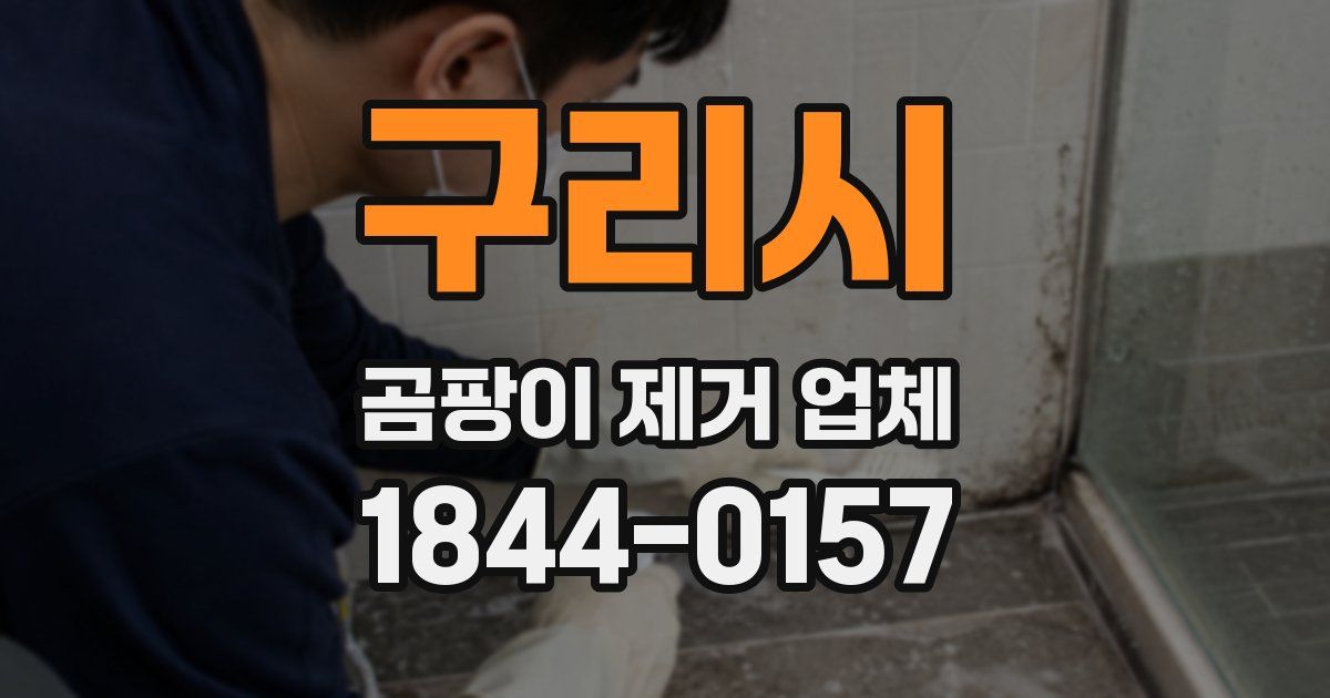 구리시 곰팡이 제거 업체
