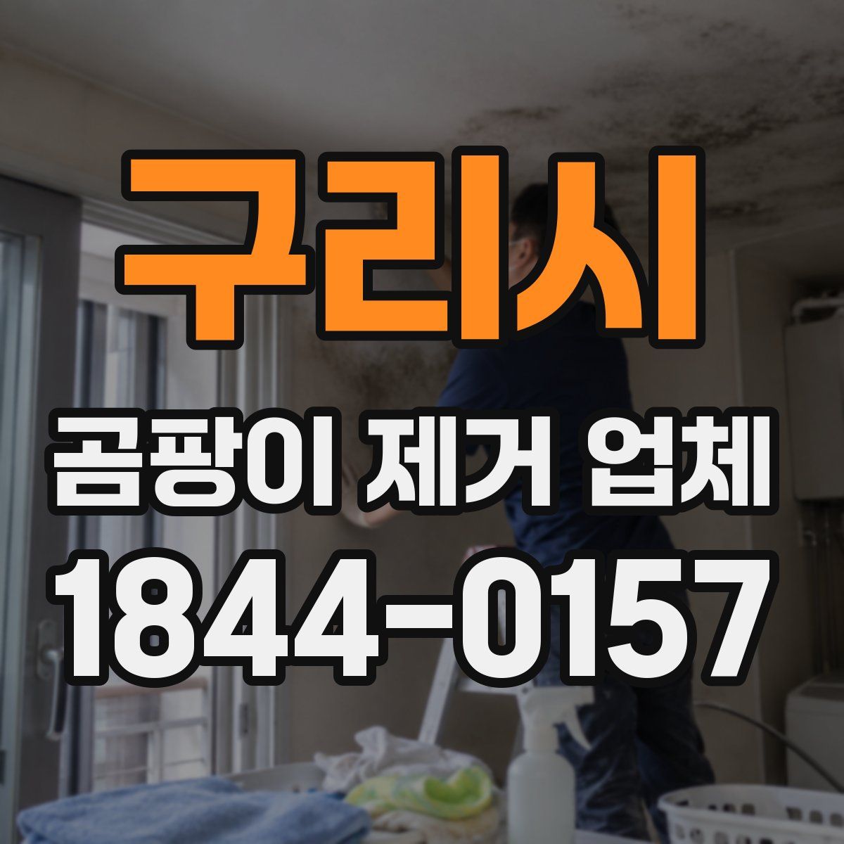 구리시 곰팡이 제거 업체