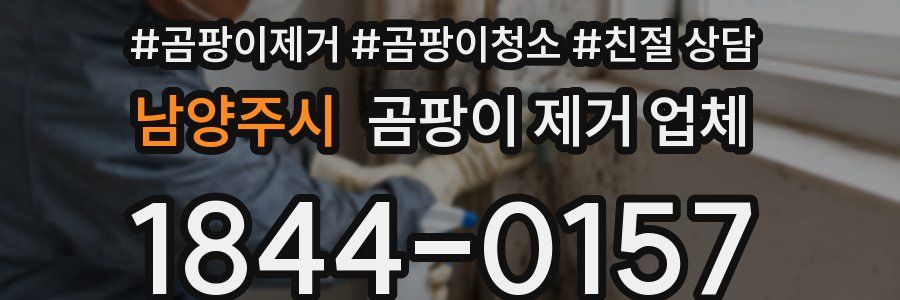 남양주시 곰팡이 제거 업체