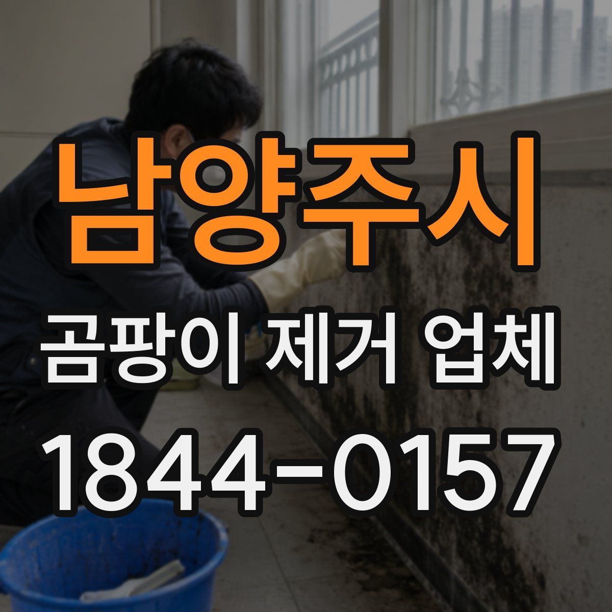 남양주시 곰팡이 제거 업체