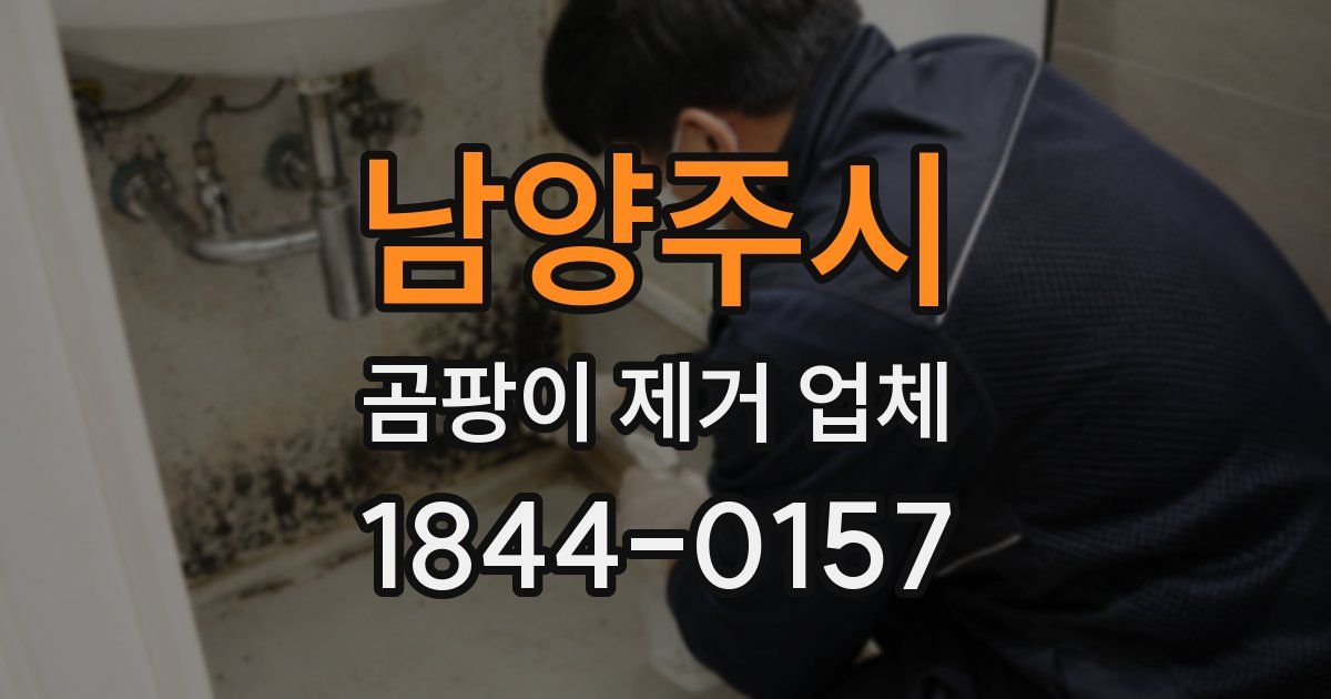 남양주시 곰팡이 제거 업체