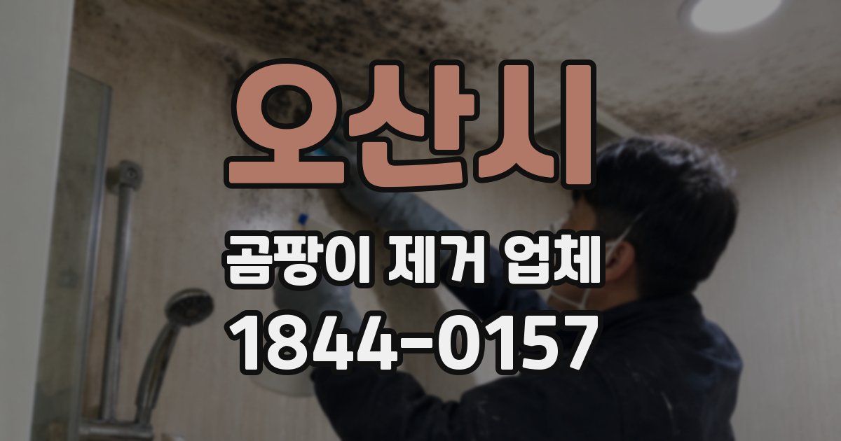 오산시 곰팡이 제거 업체