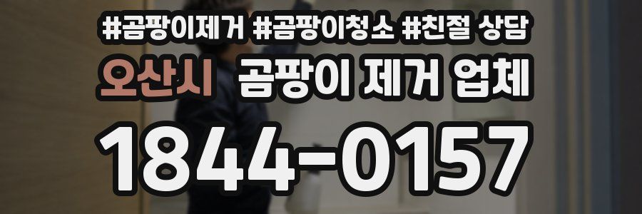 오산시 곰팡이 제거 업체