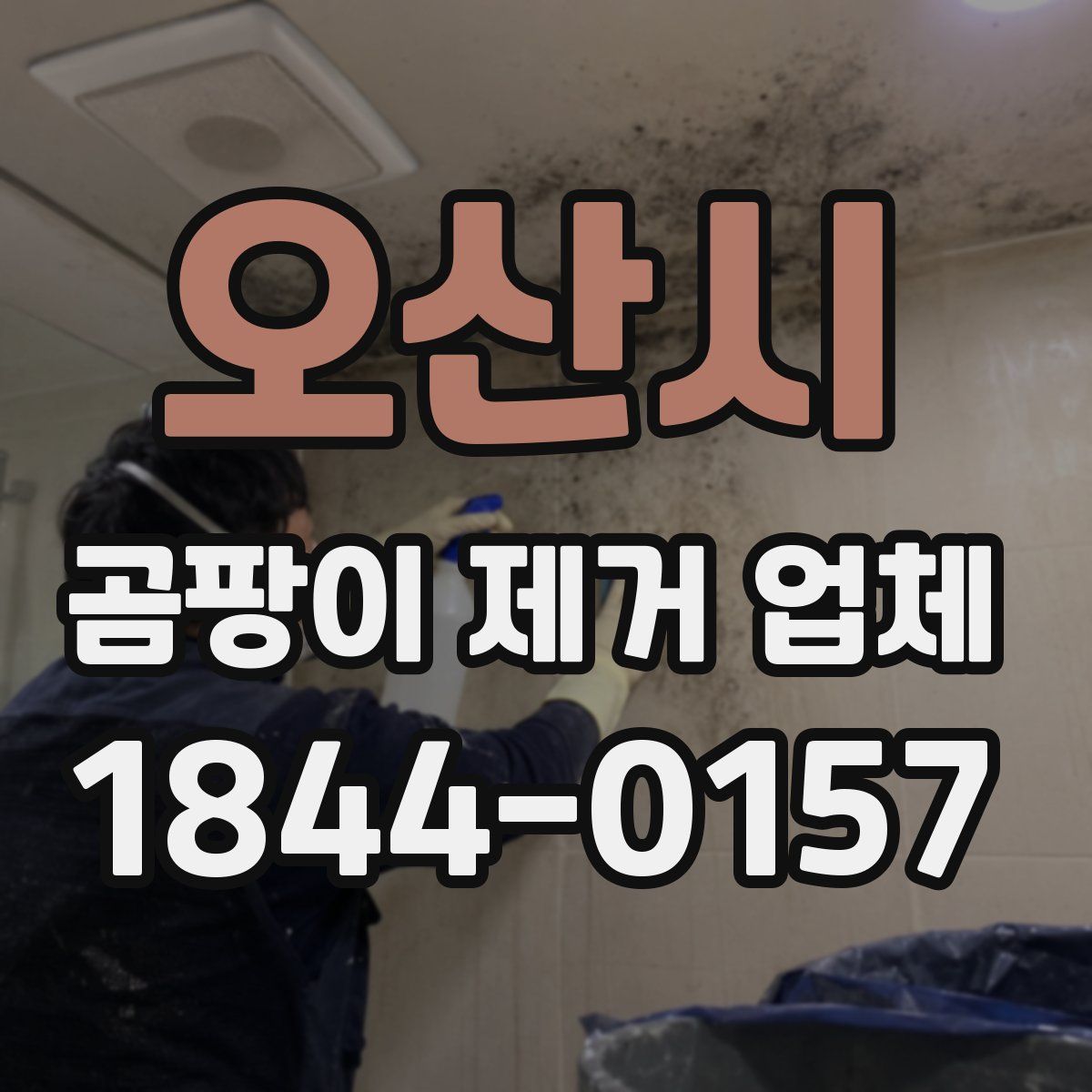 오산시 곰팡이 제거 업체