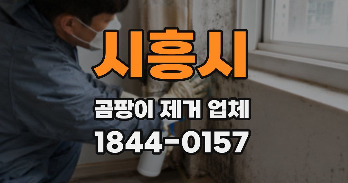 시흥시 곰팡이 제거 업체